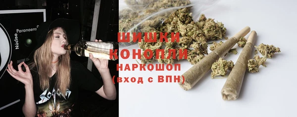 сатива Баксан