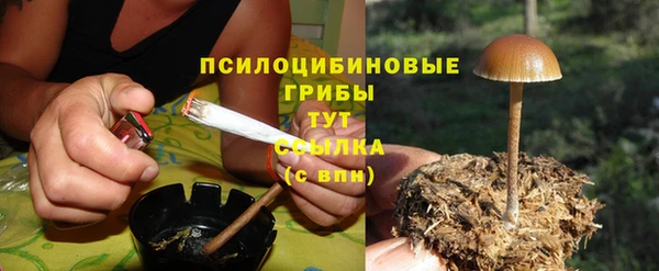 сатива Баксан