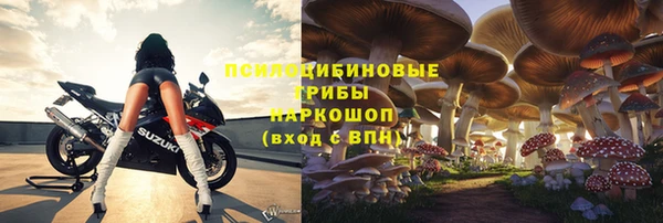 соль ск Балахна