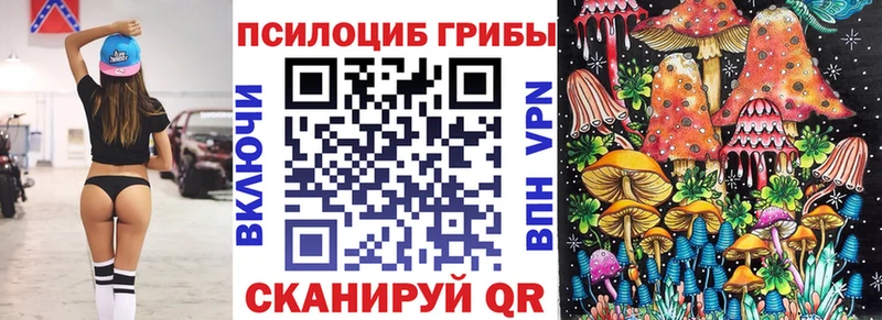 Псилоцибиновые грибы прущие грибы  Нея 
