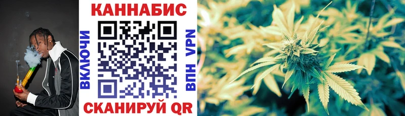 где купить   Нея  KRAKEN зеркало  Марихуана сатива 